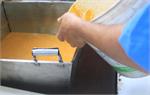 _MG_0386 e